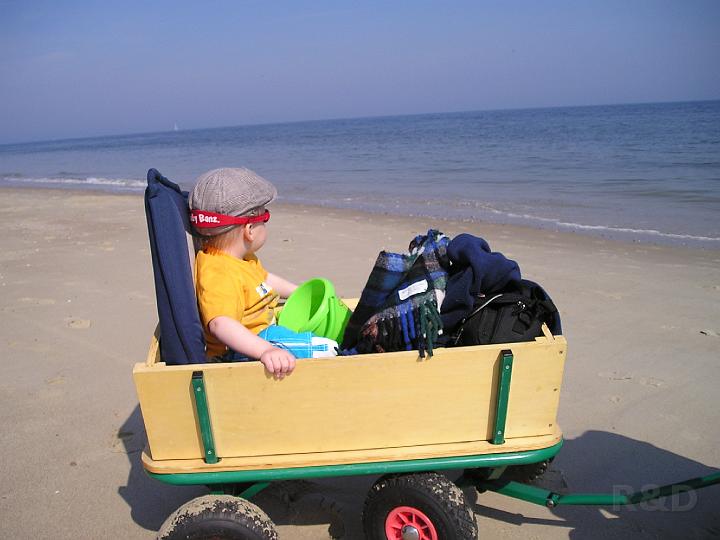 Imme 3 mei 2008 (5).JPG